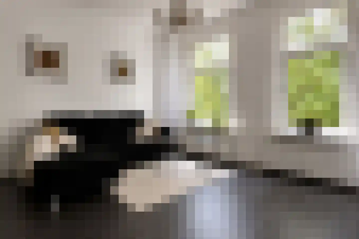 Garenkokerskade 3 Haarlem thumbnail 7