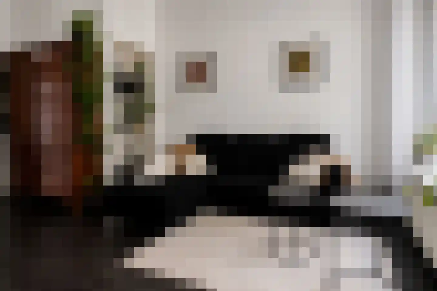 Garenkokerskade 3 Haarlem thumbnail 8