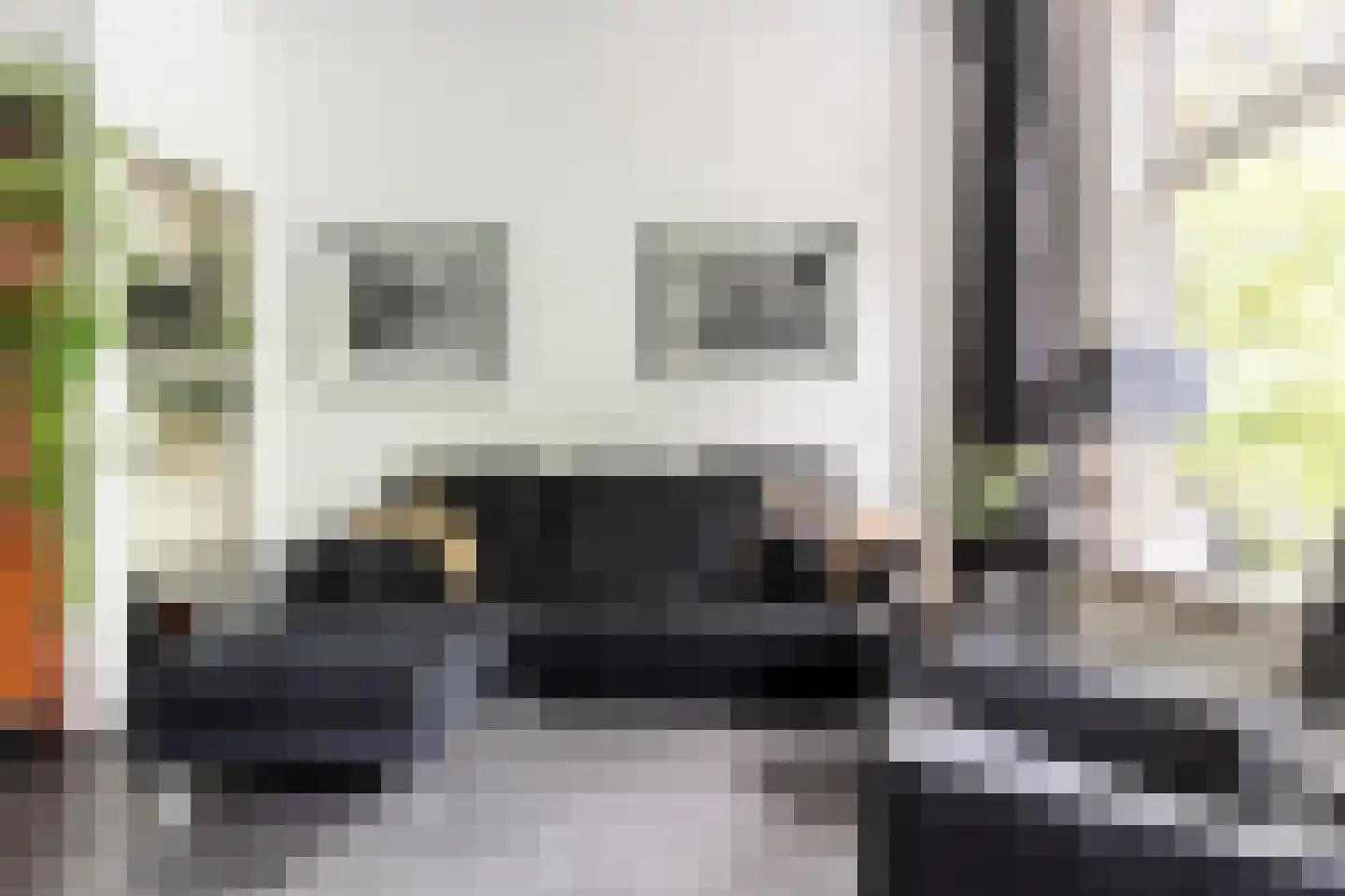 Garenkokerskade 3 Haarlem thumbnail 8