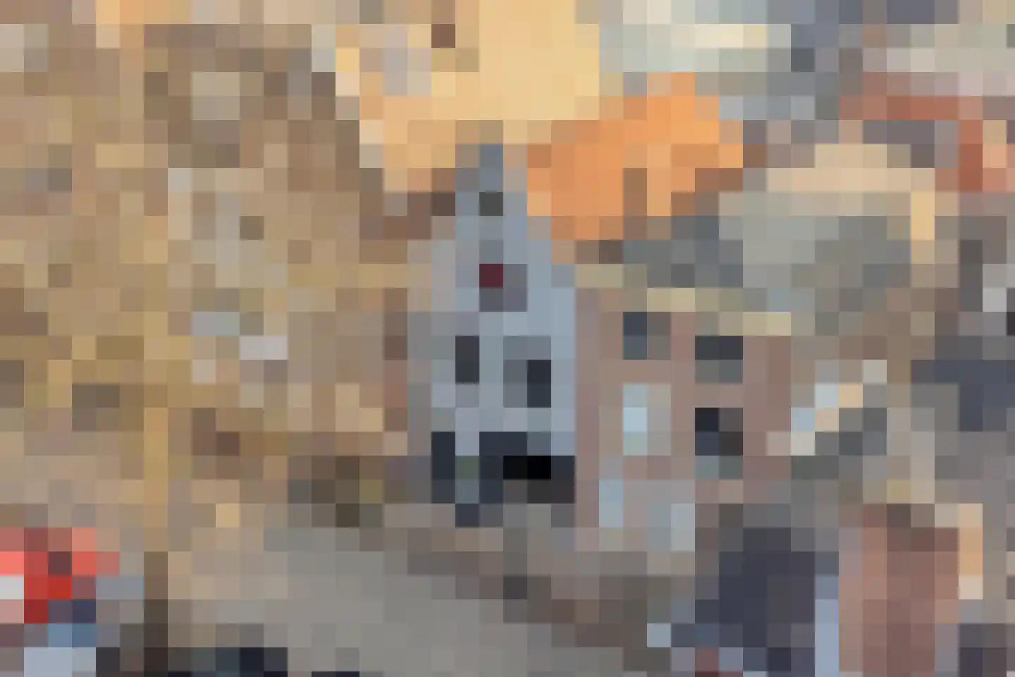 Garenmarkt 46 Leiden thumbnail 31
