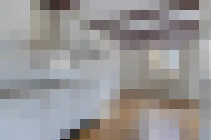 Garenmarkt 5 Leiden thumbnail 31