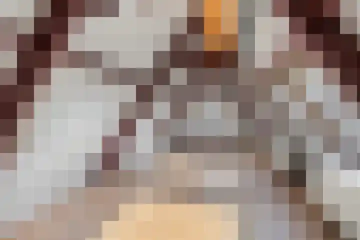 Garenmarkt 5 Leiden thumbnail 34