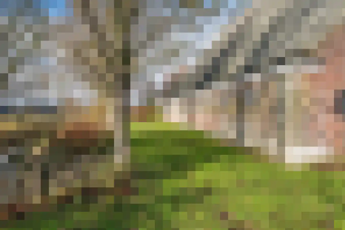 Garewei 1 Ljussens thumbnail 47