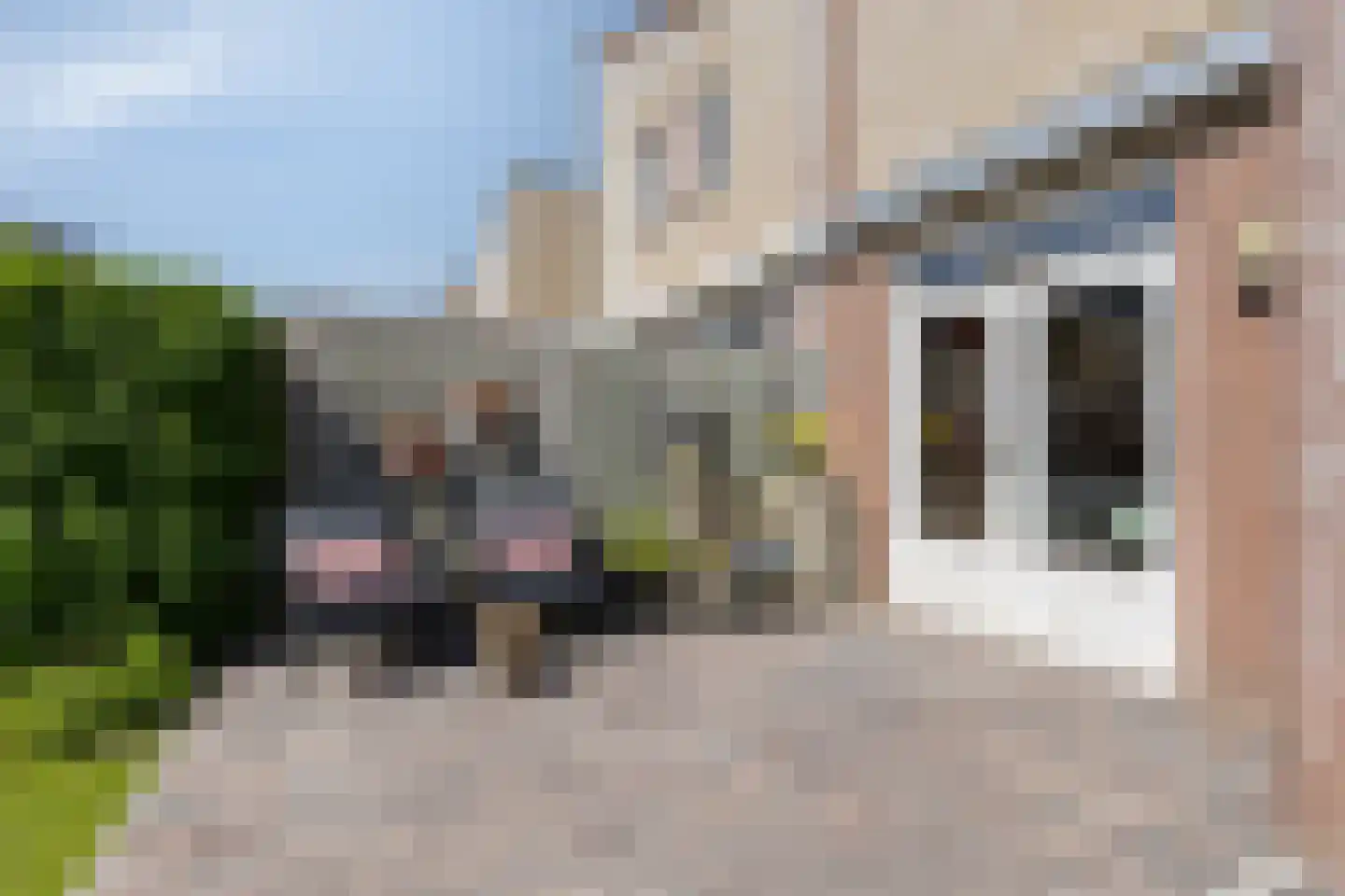 Garf 45 Uden thumbnail 42