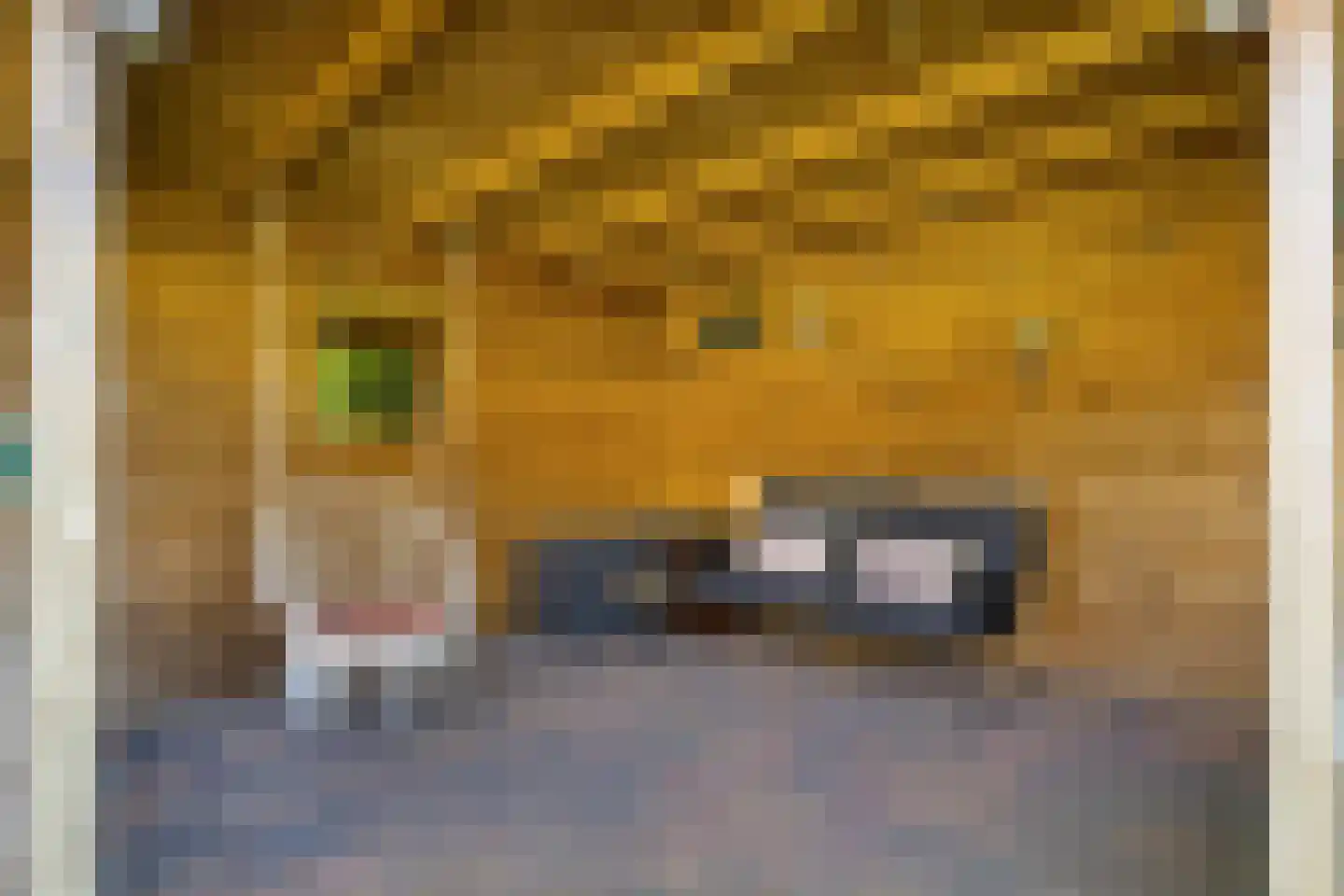 Garf 45 Uden thumbnail 44
