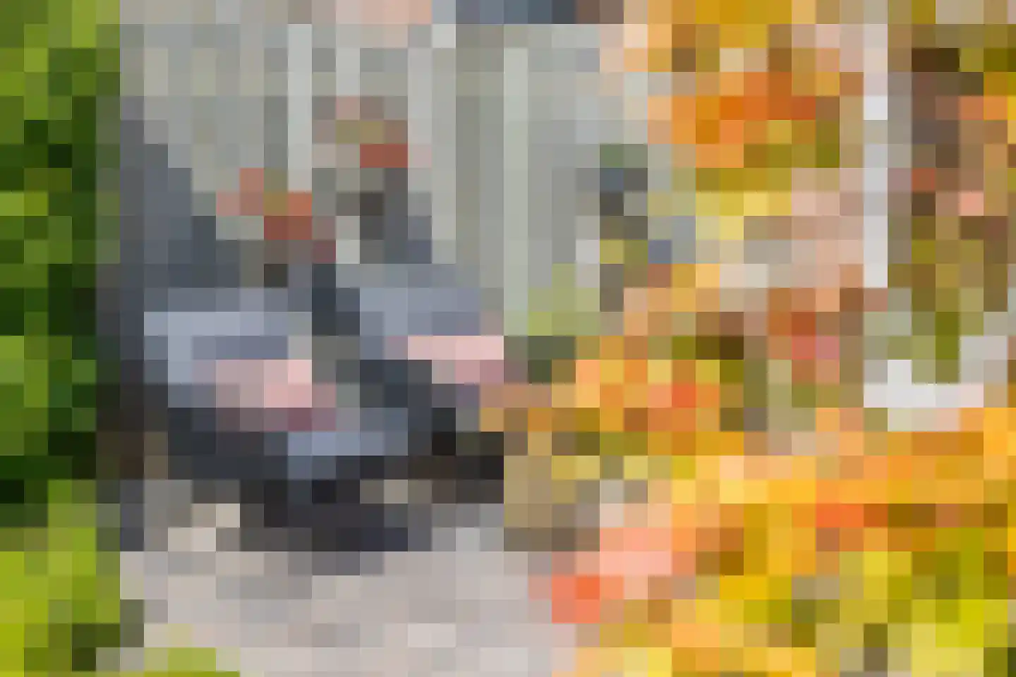 Garf 45 Uden thumbnail 46