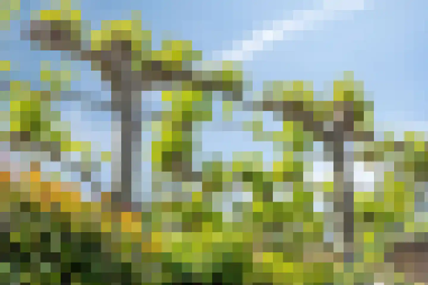 Garf 45 Uden thumbnail 47