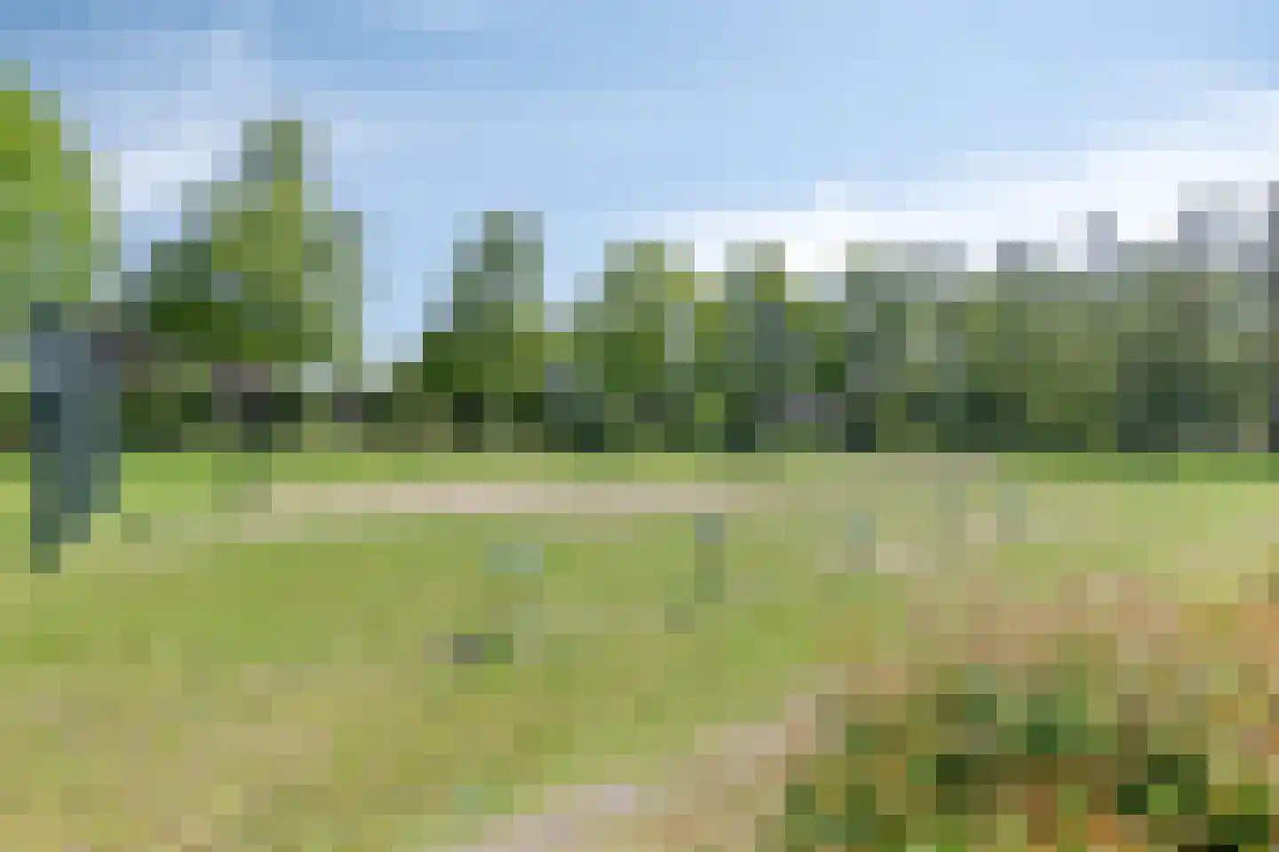 Garf 45 Uden thumbnail 53