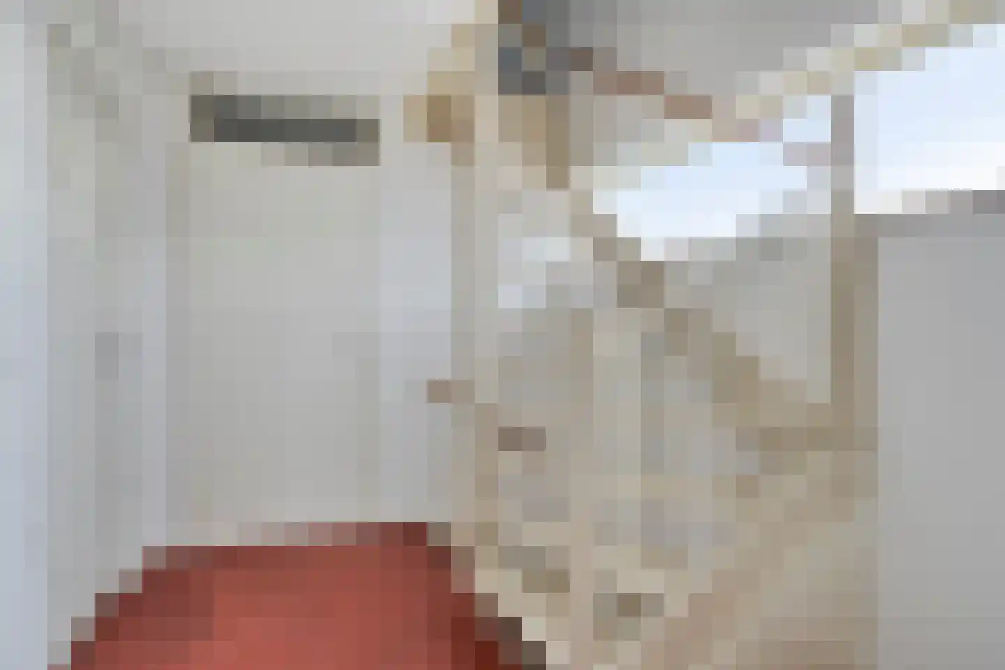 Gargouille 1 Tiel thumbnail 14
