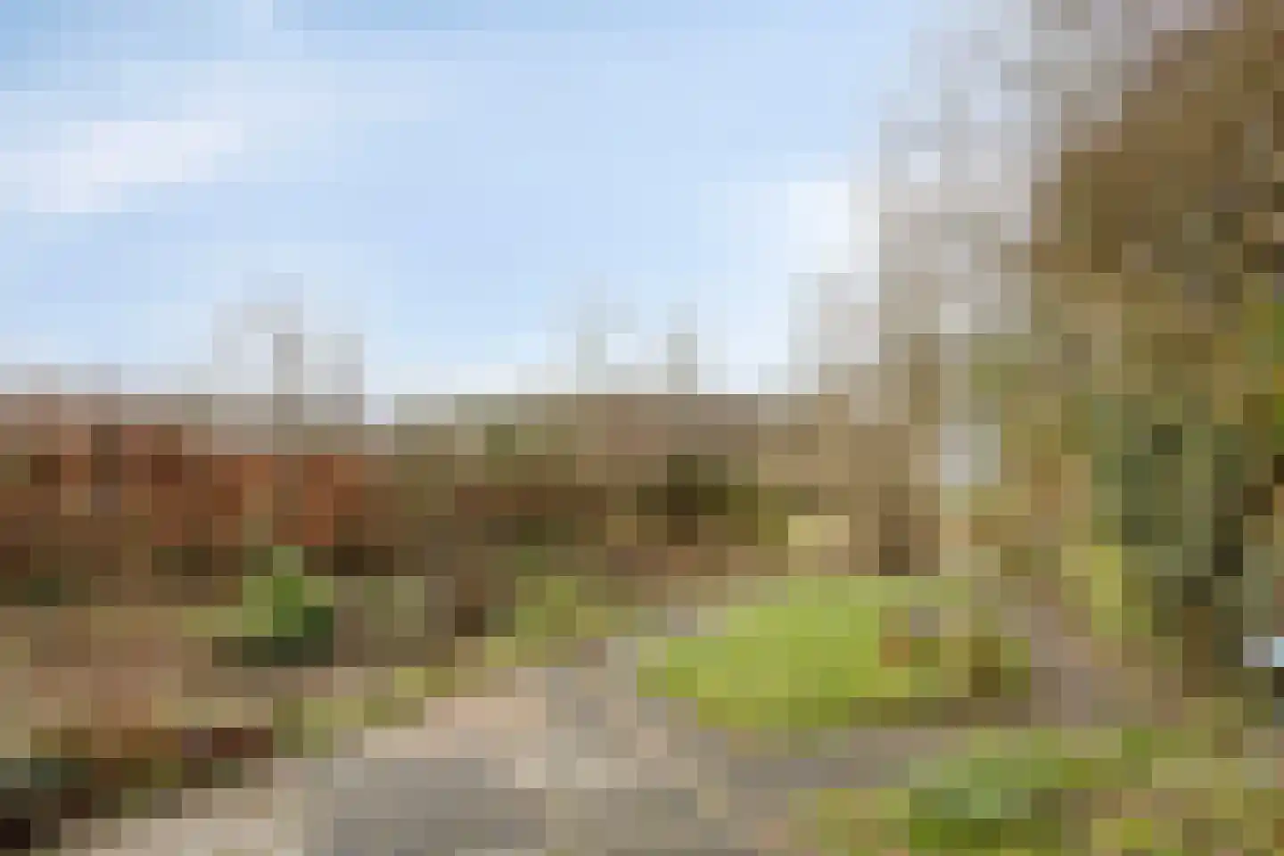 Gargouille 1 Tiel thumbnail 28