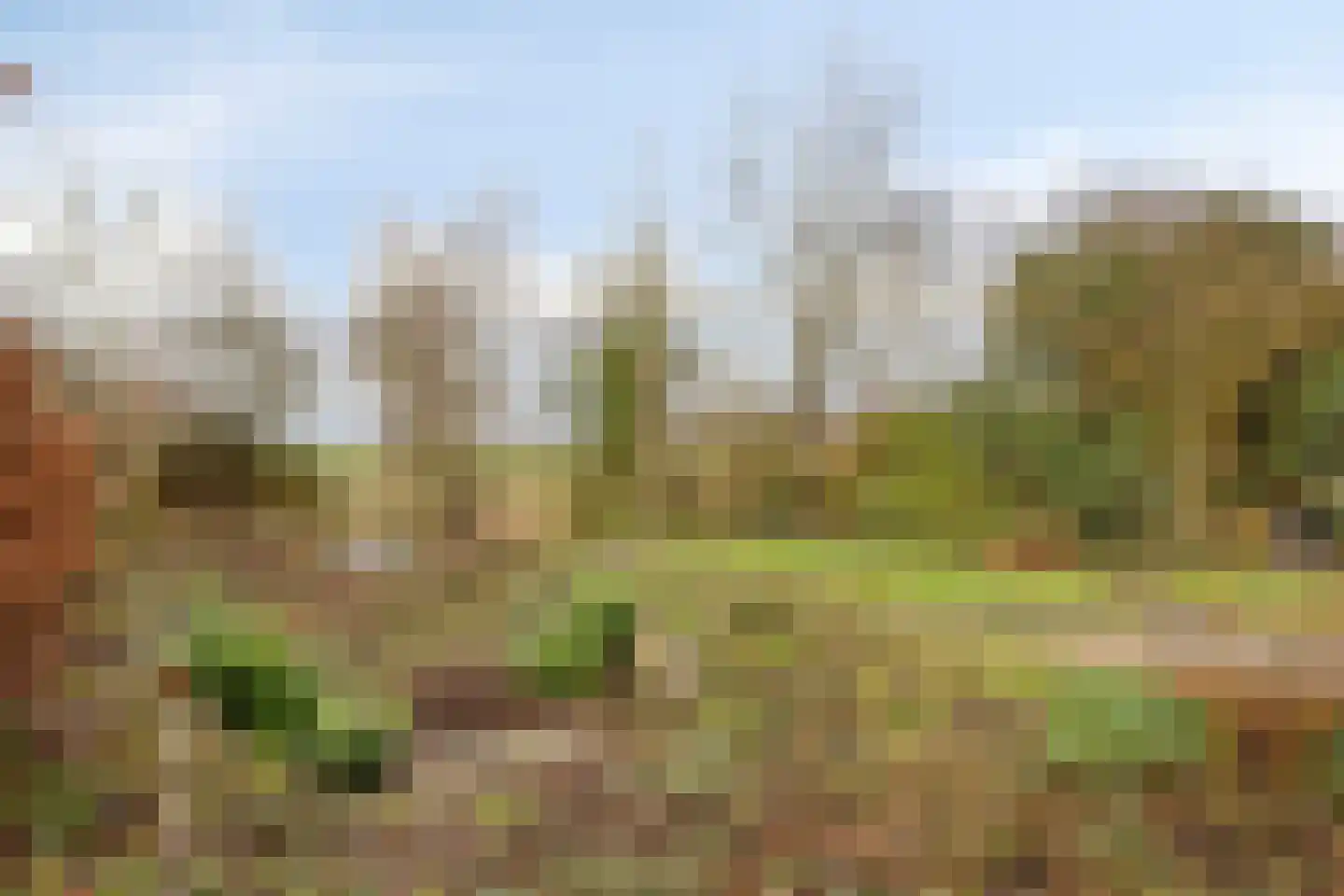 Gargouille 1 Tiel thumbnail 29