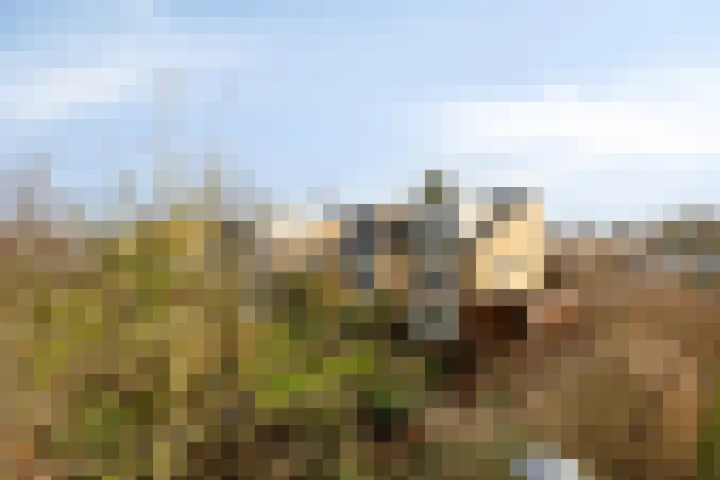 Gargouille 1 Tiel thumbnail 32