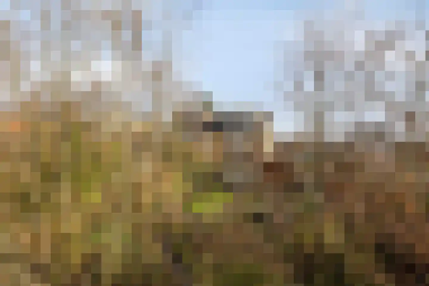 Gargouille 1 Tiel thumbnail 33