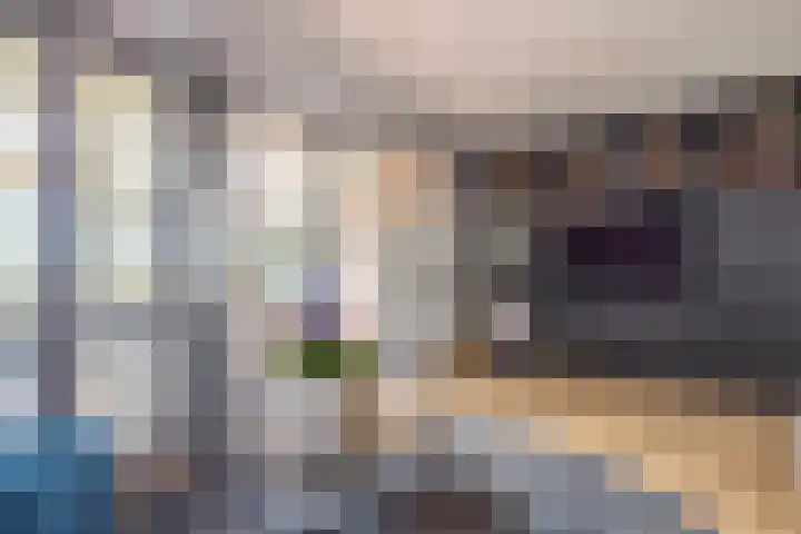 Gargouille 43 Tiel thumbnail 30