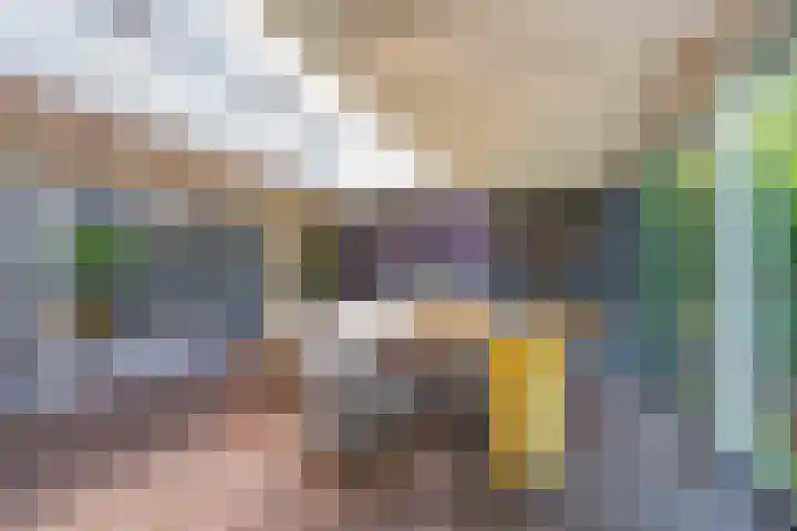 Gargouille 43 Tiel thumbnail 33