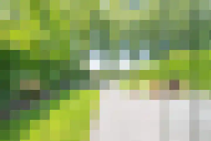 Gargouille 43 Tiel thumbnail 36