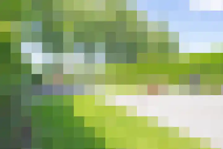 Gargouille 43 Tiel thumbnail 37
