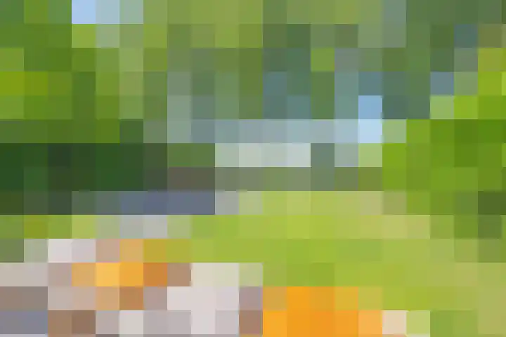 Gargouille 43 Tiel thumbnail 39