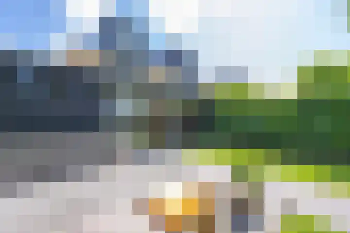 Gargouille 43 Tiel thumbnail 41