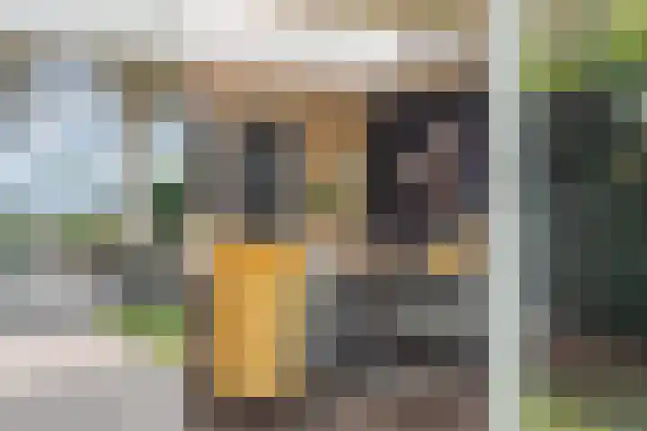 Gargouille 43 Tiel thumbnail 42