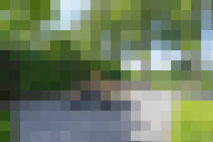 Gargouille 43 Tiel thumbnail 43