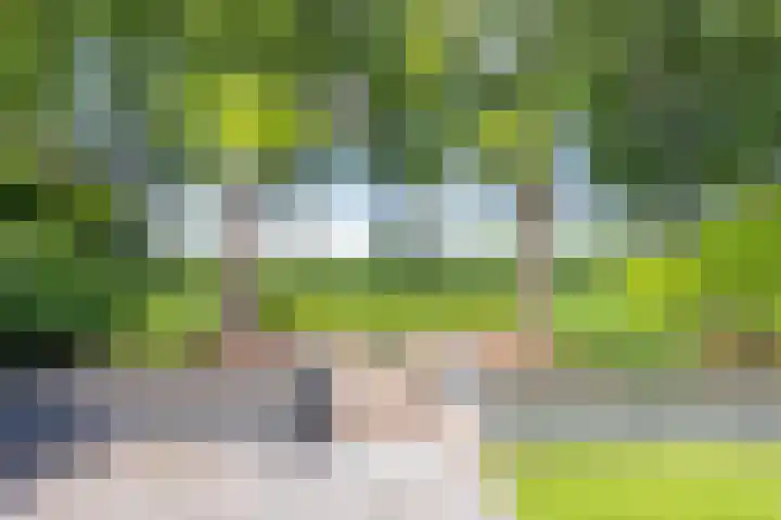 Gargouille 43 Tiel thumbnail 47
