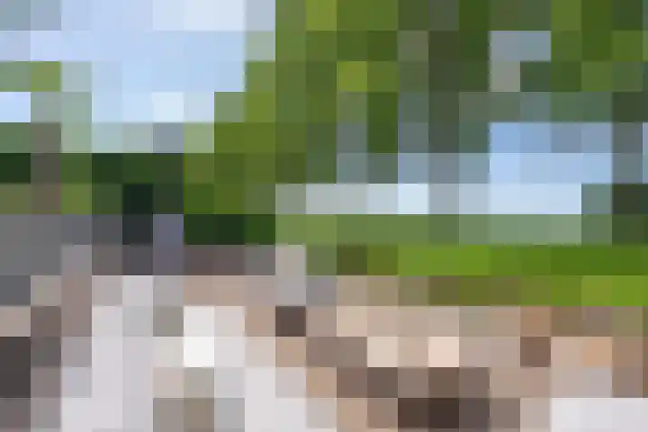 Gargouille 43 Tiel thumbnail 53