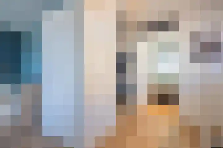 Gargouille 43 Tiel thumbnail 58