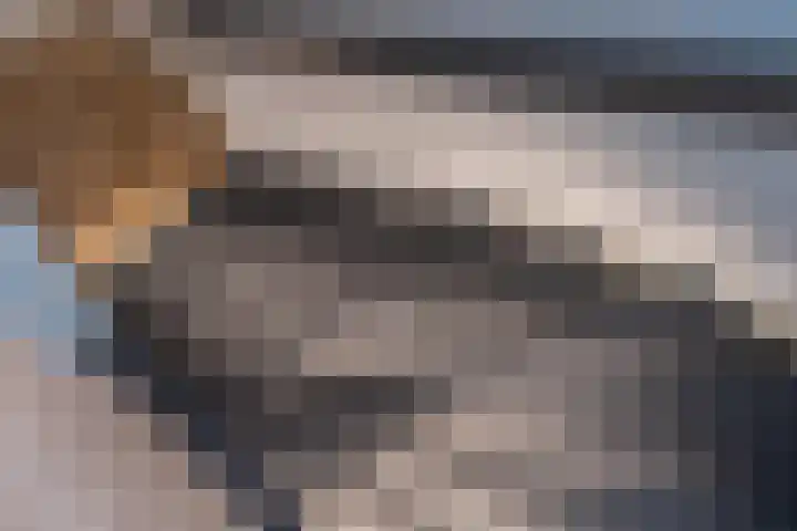 Gargouille 43 Tiel thumbnail 59