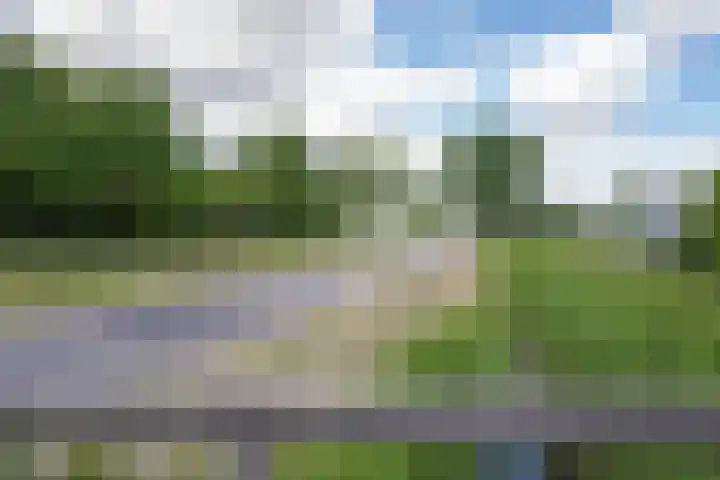 Gargouille 43 Tiel thumbnail 75