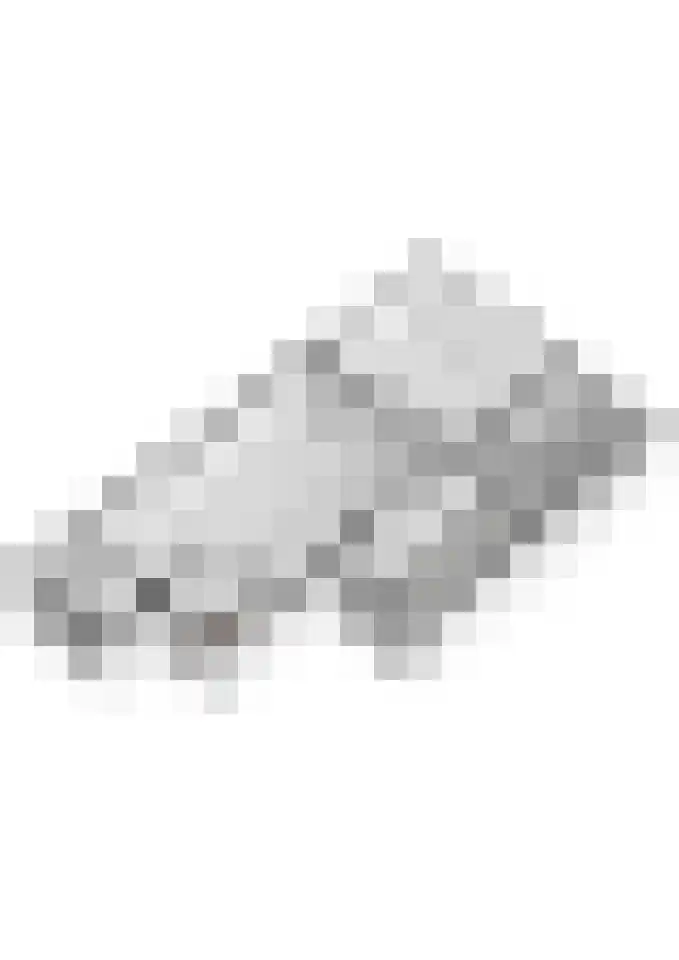 Gargouille 43 Tiel thumbnail 78