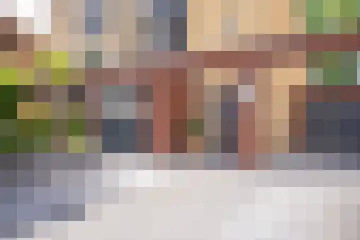 Gargouille 43 Tiel thumbnail 8