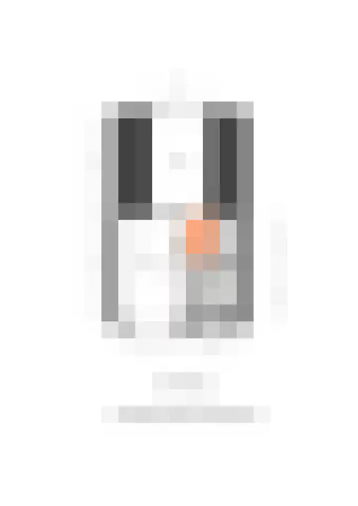 Gargouille 43 Tiel thumbnail 81