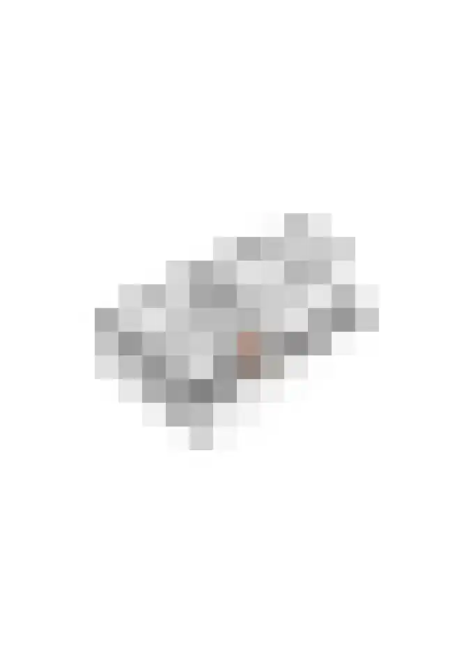 Gargouille 43 Tiel thumbnail 82
