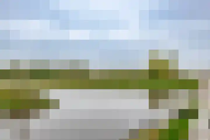 Garmpoleiland 34 Eelderwolde thumbnail 4