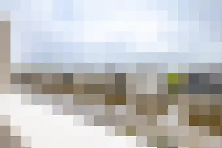 Garmpoleiland 34 Eelderwolde thumbnail 66