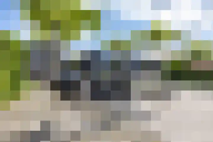 Garmpoleiland 8 Eelderwolde thumbnail 32