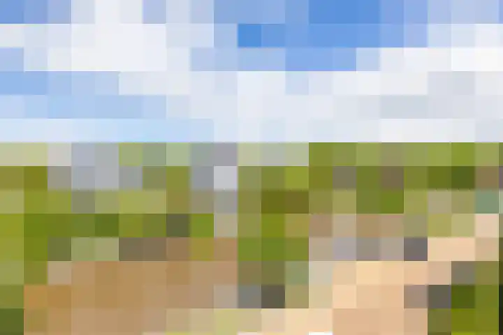 Garmpoleiland 8 Eelderwolde thumbnail 67