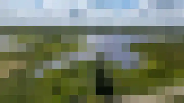 Garmpoleiland 8 Eelderwolde thumbnail 78