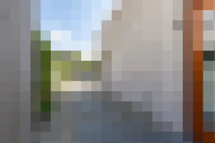 Garmpoleiland 8 Eelderwolde thumbnail 81