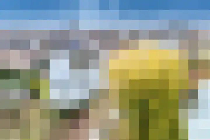 Garmt Stuivelingsingel 28 De Meern thumbnail 11
