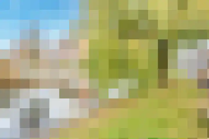 Garmt Stuivelingsingel 28 De Meern thumbnail 65