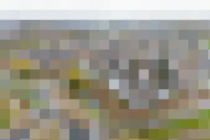Garmt Stuivelingsingel 28 De Meern thumbnail 67