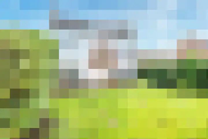Garmt Stuivelingsingel 28 De Meern thumbnail 9