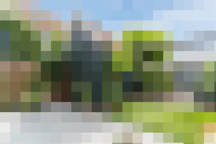 Garmt Stuivelingsingel 33 De Meern thumbnail 12