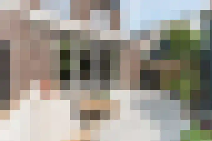 Garmt Stuivelingsingel 33 De Meern thumbnail 14