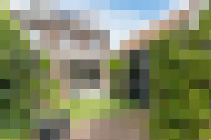 Garmt Stuivelingsingel 33 De Meern thumbnail 17