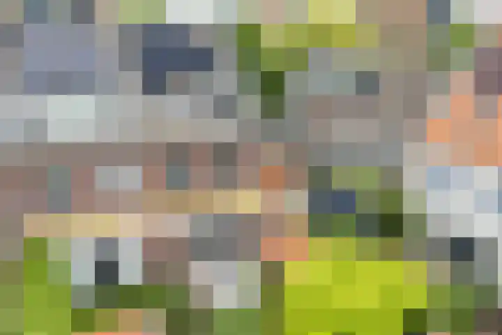 Garmt Stuivelingsingel 33 De Meern thumbnail 21