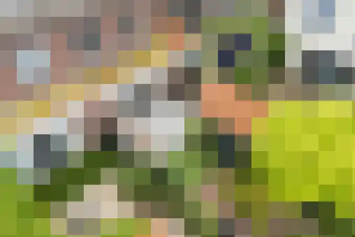 Garmt Stuivelingsingel 33 De Meern thumbnail 22