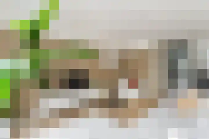 Garmt Stuivelingsingel 33 De Meern thumbnail 24